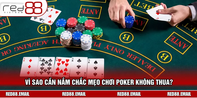 Áp dụng mẹo chơi Poker không thua sẽ giúp bạn đánh bại đối thủ dễ hơn