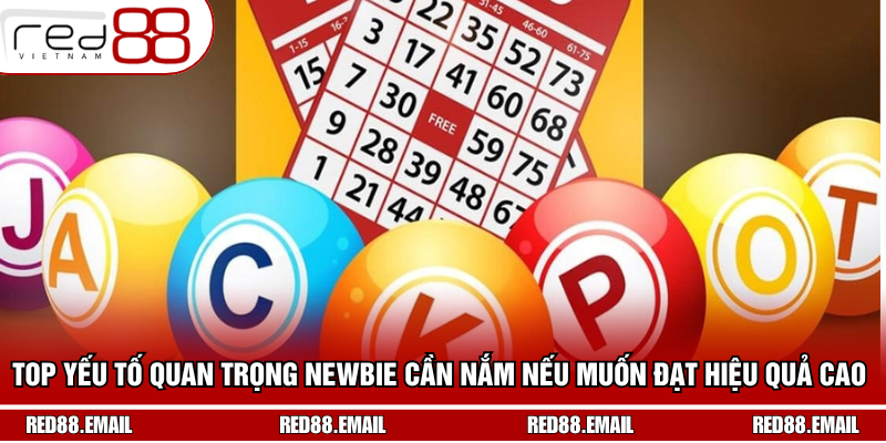 Top yếu tố quan trọng newbie cần nắm nếu muốn đạt hiệu quả cao 